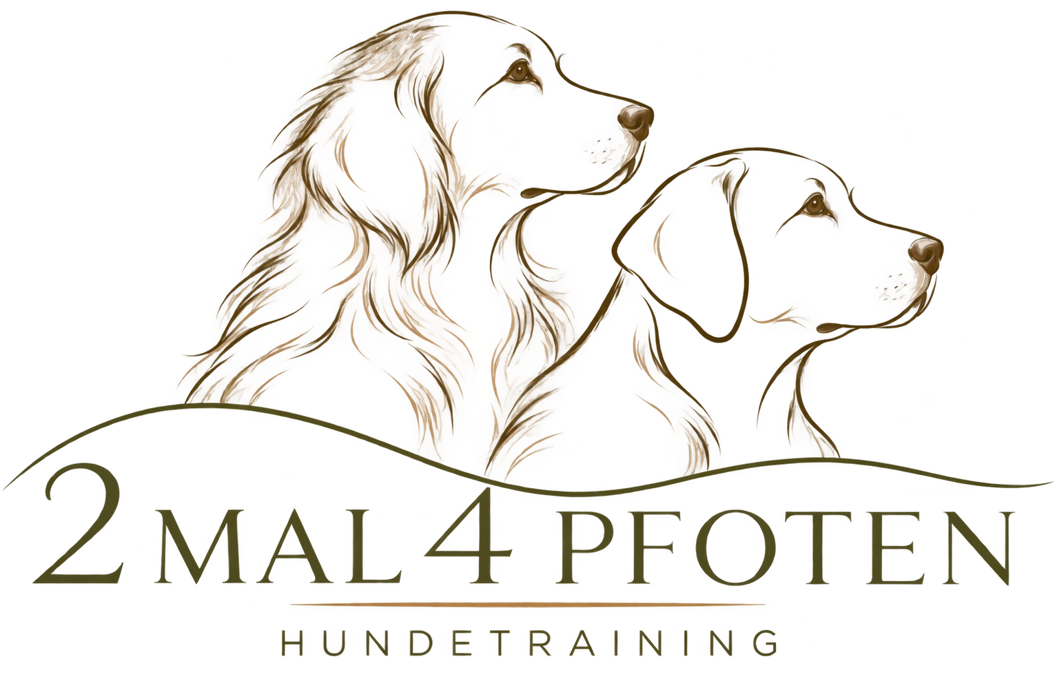 2 Mal 4 Pfoten – filigranes Logo mit Golden Retriever und Labrador